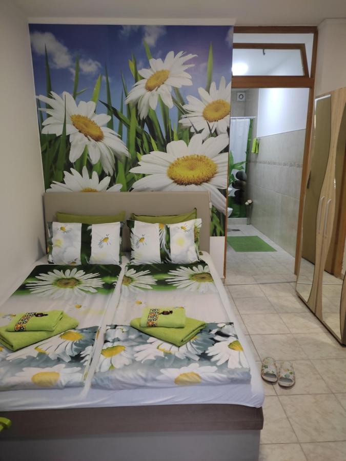 Apartment Nela Ni Kültér fotó